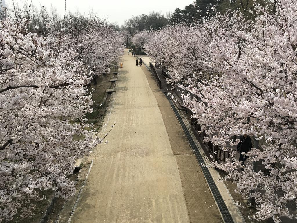 Seoul Forest Guesthouse Bagian luar foto