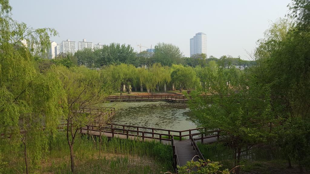 Seoul Forest Guesthouse Bagian luar foto